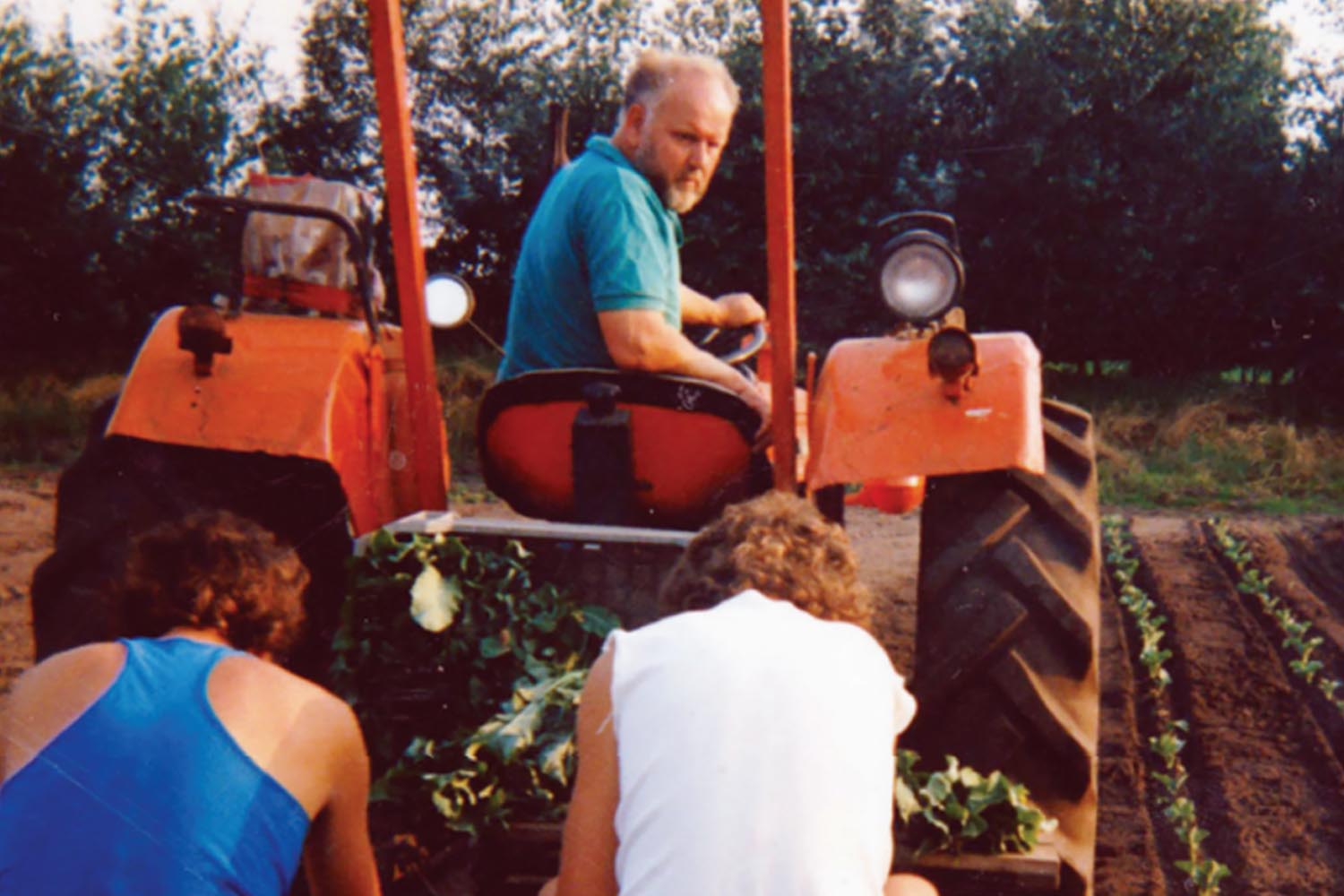 Ajaan, meid en knecht, vrijt of vecht