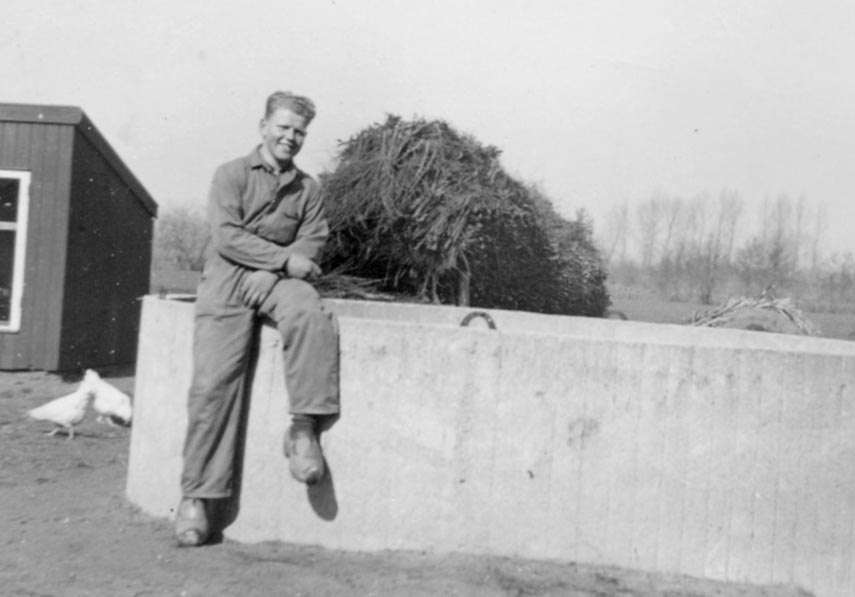 Ajaan, meid en knecht, vrijt of vecht